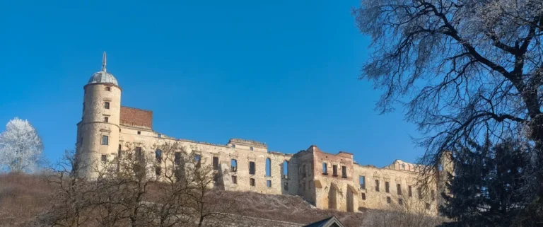 Zamek w Janowcu
